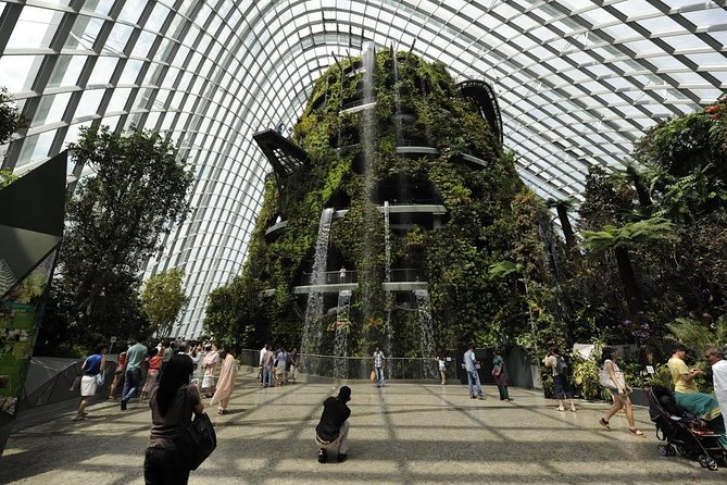 Cloud Forest + Supertree Observatory - Planning Your Visit