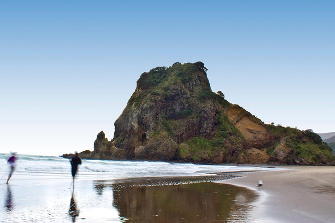 Coast and Rainforest Eco-Tour From Auckland With Lunch - Additional Tour Options