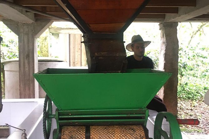 Coffee Farm Hacienda La Coloma Private Tour With Optional Lunch - Booking and Cancellation Policy