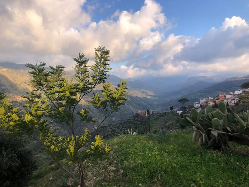 Cooking Class at the Country, View on the Sea and Mountains - Reservation Process