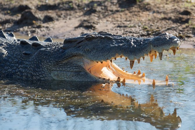 Corroboree Billabong Wetland Cruises - 2 Hour Sunset Cruise - Booking and Cancellation Policies