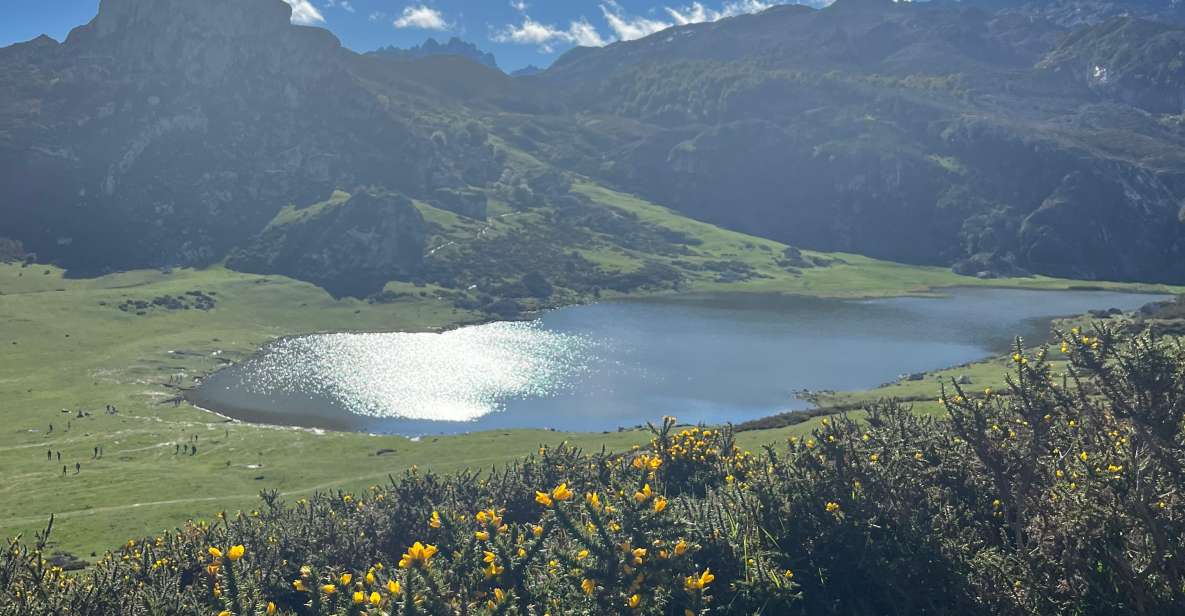 Covadonga and Lakes and Occidental Coast Private Tour - Picos De Europa National Park