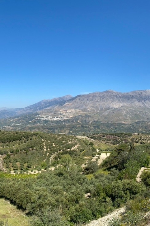 Crete: Jeep Safari, Mountains, Goat-Keeping & Cheese Making - Driving Requirement