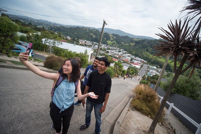 Cruise Dunedin City and Castle Tour - Why Choose This Tour