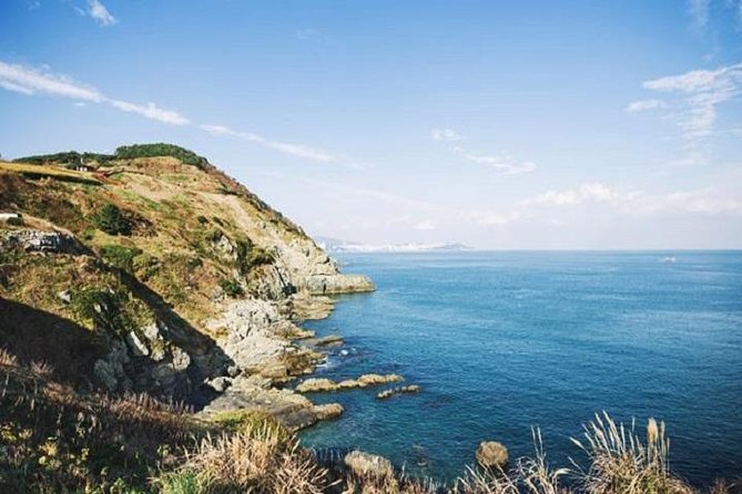 Cruise Layover : Small Group Busan Essential Tour - Booking Information
