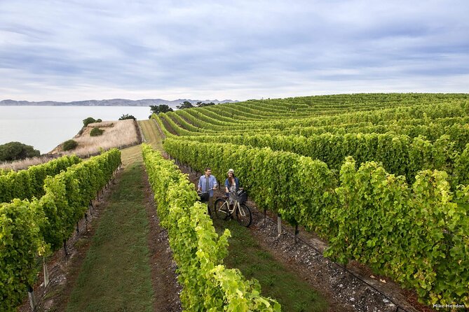 CRUISE SHIP DAY Marlborough Hop On Hop Off Tours - Booking and Cancellation Details