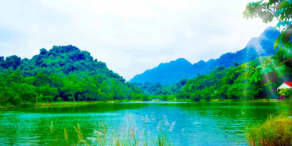 Cuc Phuong Forest - The Forest Of Thousands Of Butterflies - How to Get There