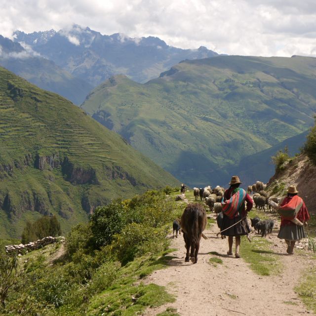 Cusco: Half Day Acclimatization Hike & Hotel Transfers - Tips for Hikers