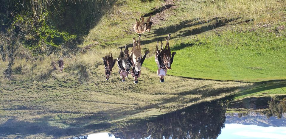 Cusco: Hidden Incan Temples Full-Day Horseback Riding Tour - Recap