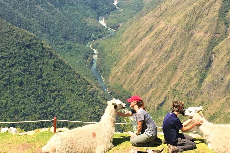 Cusco: Machu Picchu 4-Day Inca Trail Trek & Panoramic Train - Health and Safety Considerations