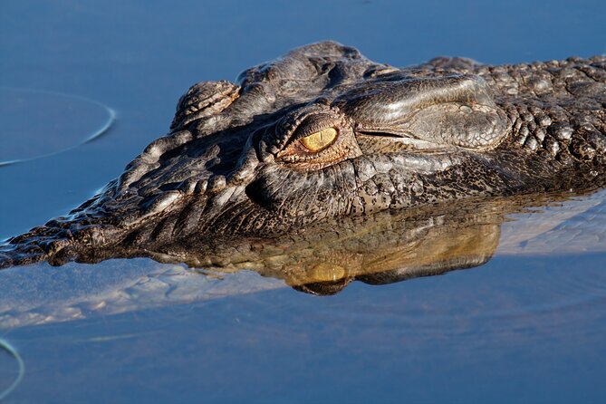 Darwin to Kakadu Day Trip by Air Including Yellow Water Cruise - Tips for a Great Experience