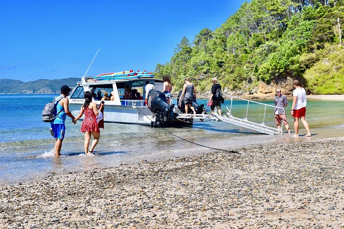 Day Cruise & Island Tour - Snorkel/Wildlife/Paddleboard/Islands - Recommendations for Travelers