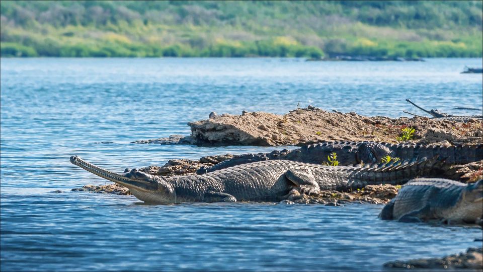 Day Excursion From Agra (Chambal Boat Safari) - Frequently Asked Questions