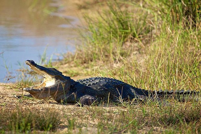 Day Tour to Wilpattu National Park From Colombo - Tips for a Successful Tour