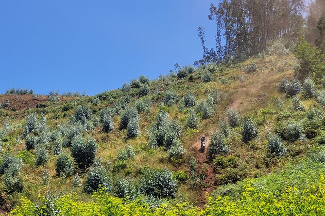 Dirt-Bike Tour in Madeira - Traveler Experiences