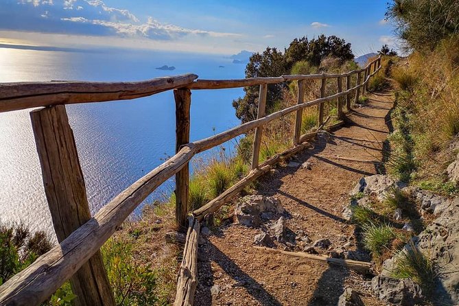 Discover Path of Thegods Private Hiking Tour From Amalfi Positano Sorrento - Traveler Testimonials and Reviews