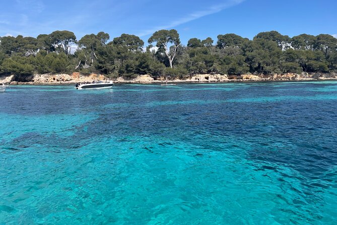 Discover the Lérins Islands and the Bay of Cannes by Private Boat - Tips for a Memorable Experience