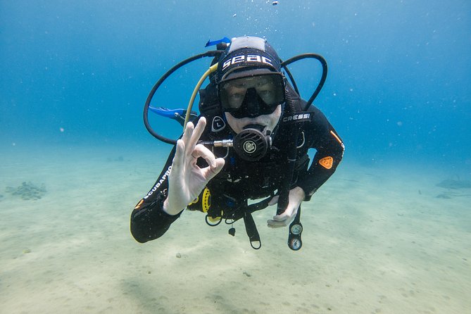 Discover the Underwater World of Lanzarote - Preparing for the Adventure
