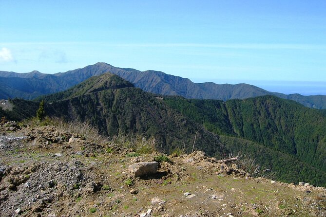 Discover the Unexplored Beauty of the Island by 4x4 Tour - the Nordeste - Preparing for Your Tour