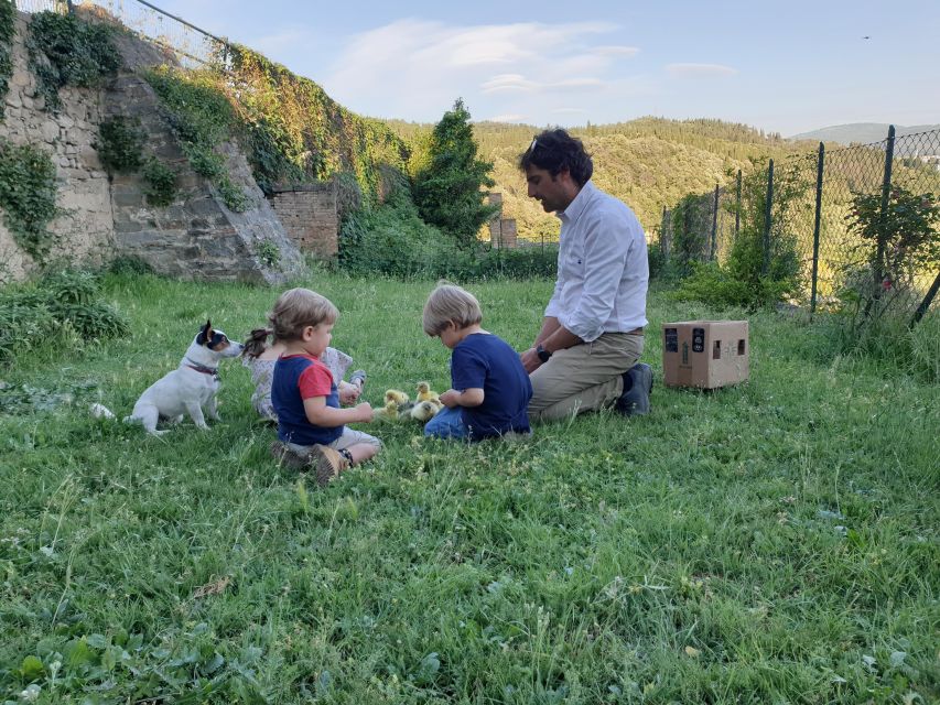 DISCOVERING AN ENGLISH GARDEN OVERLOOKING FLORENCE - Accessibility Information