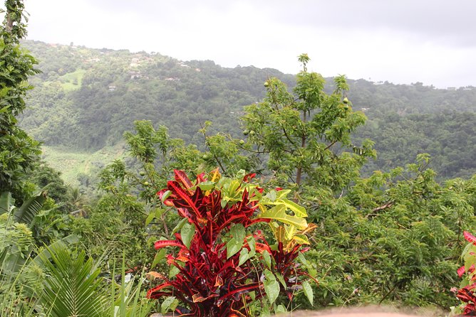 Discovery Day 4x4 Ride - Northern Circuit of Martinique - Booking Information and Considerations