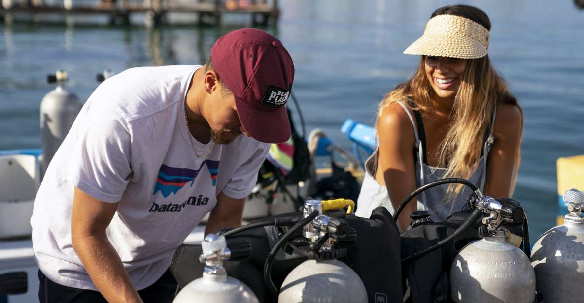 Diving Santa Marta & Tayrona for Certified Divers (2 Tanks) - Tips for an Enjoyable Dive