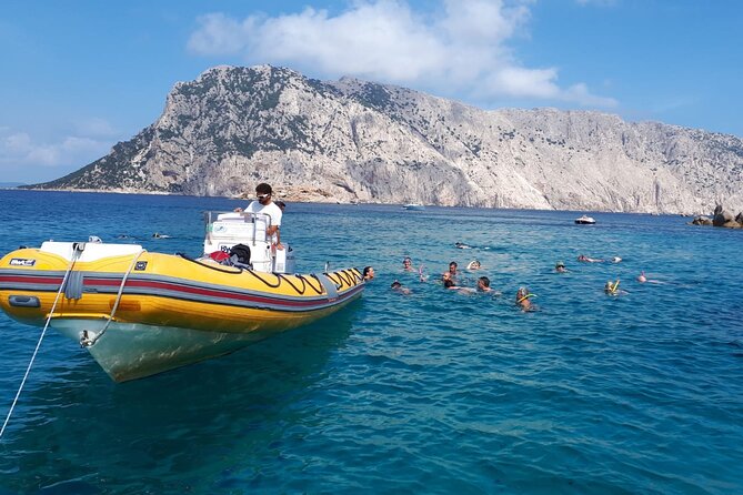 Dolphin Watching and Snorkeling in Figarolo in Sardinia - Snorkeling Adventure