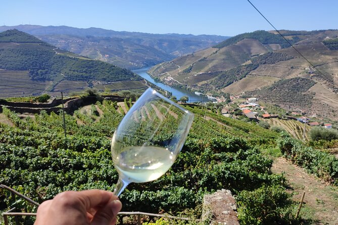 Douro Valley Premium Tours - Private Driver & Guide - Customer Reviews and Ratings