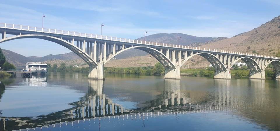 Douro Valley Wine Road Trip, 2 Vineyards Lunch River Cruise - Vineyard Visits