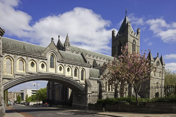 Dublin Christ Church Cathedral Admission Ticket - Seasonal Opening Hours