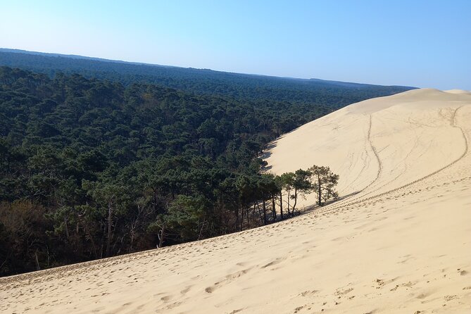 Dune Du Pilat and Oysters Tasting in Only 1 Hour Away From Bordeaux ! What Else? - Planning Your Visit to Bordeaux