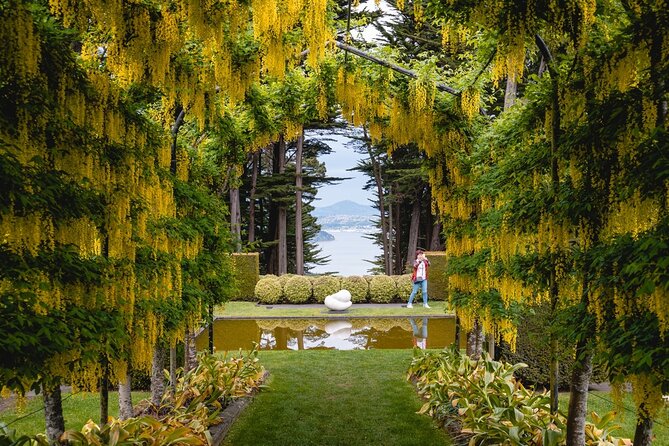 Dunedin Castle to Cruise Tour - Tips for an Enjoyable Experience