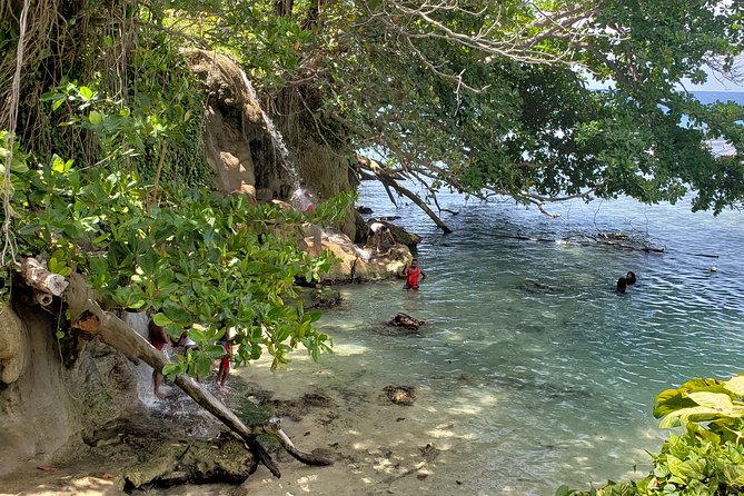 Dunns Falls and Blue Hole Daytrip With Lunch From Montego Bay & Trelawny - Value for Money