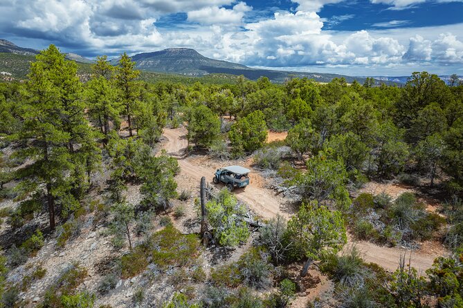 East Zion East Rim Jeep Tour - Booking Your Adventure