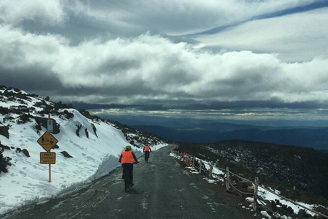 Easy Bike Tour - Mt Wellington Summit Descent & Rainforest Ride - Recommended Preparations