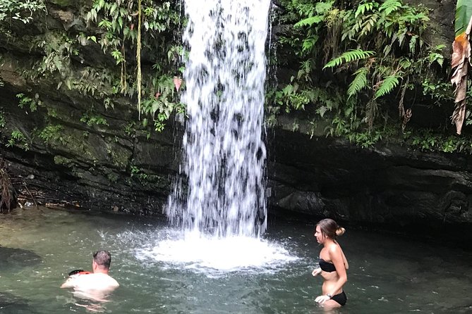 El Yunque Rainforest Hiking Tour From San Juan - Booking Information and Next Steps