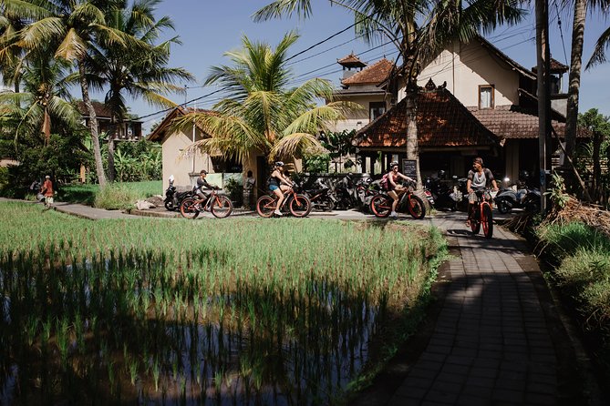 Electric Bike Tour in Ubud - Physical Fitness Requirements