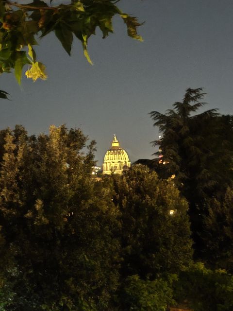 Elegant Rome by Night Tour and Dinner in a Local Restaurant - Dining Experience