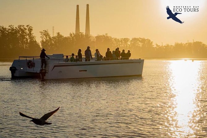 Elkhorn Slough Wildlife Tour - Directions and Parking Information