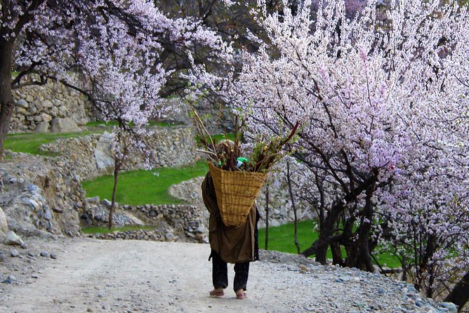 Epic Jeep Safari & Cultural Adventure: Explore Gilgit Baltistan - Traveler Reviews and Testimonials