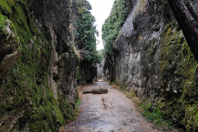 Excursion to Enchanted City and Ventano Del Diablo - Accessibility and Participation