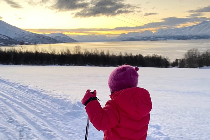 Experience Cross-Country Adventure in Tromsø - How to Book Your Adventure