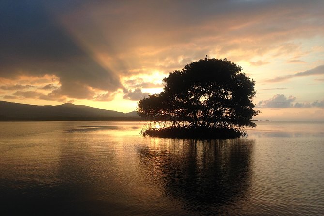 Experience on a Boat off the Beaten Track of the Most Beautiful Lagoon in Guadeloupe - Logistics and Meeting Point