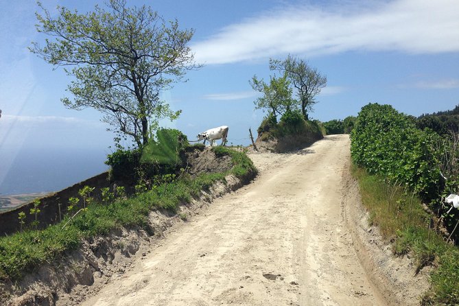 Explore Different Trails at Sete Cidades Volcano on Half-Day Tour 4x4 Jeep - Customer Reviews and Experiences