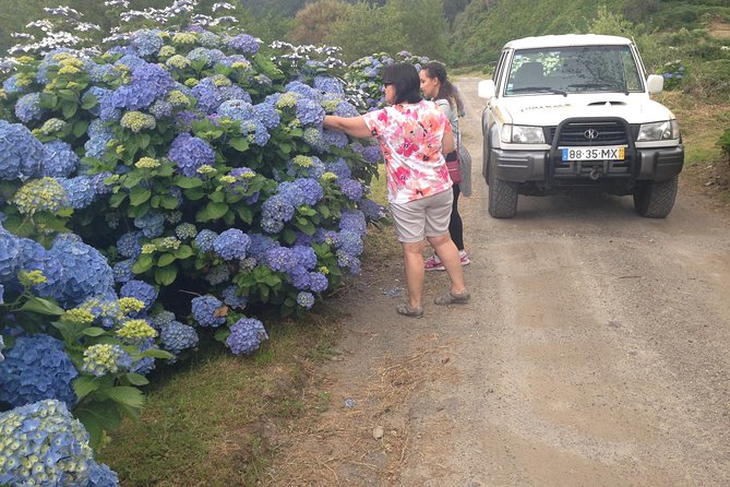 Explore With Our Guides the West Side & Sete Cidades on a Surprising 4x4tour - Tips for Your Adventure