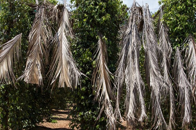Exploring the Best of Kampot and Kep in a Full-Day Tour - Booking Information