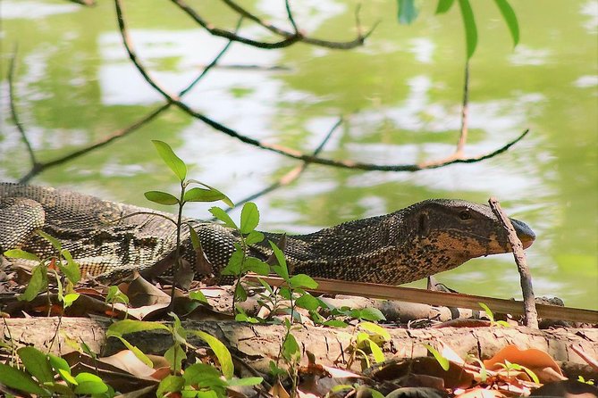 Family Bicycle Tour in the Green Oasis of Bangkok on Bamboo Bikes - Family-Friendly Aspects