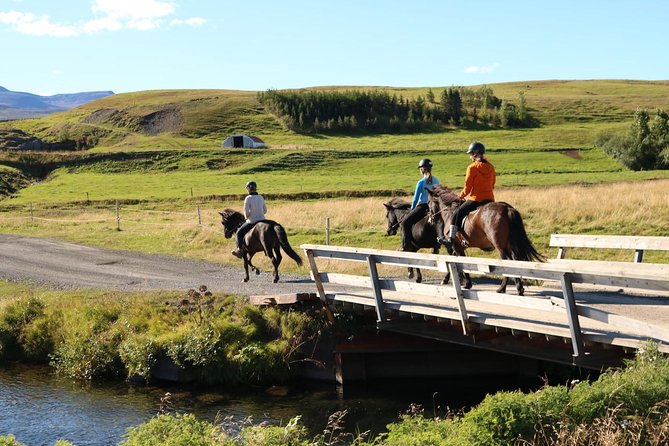 Family Friendly Horse Riding Tour in Skagafjörður - Preparing for Your Ride