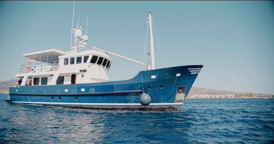 Fishing & Sea Tour - Frequently Asked Questions