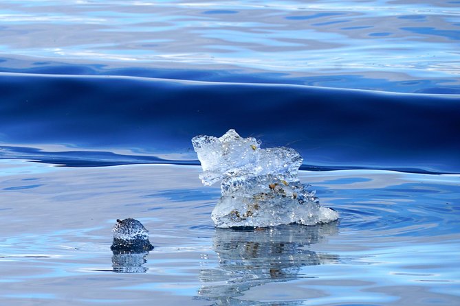 Fjordcruise in a Luxury Yacht Arctic Queen - Booking Your Fjordcruise Experience